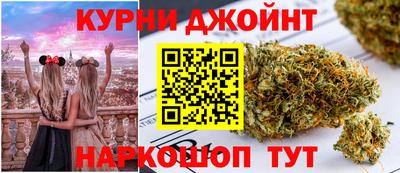 сатива Заводоуковск