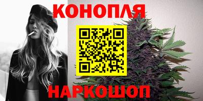 сатива Заводоуковск