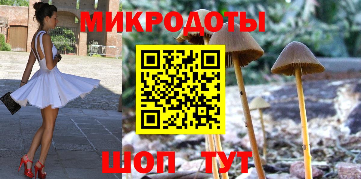 Псилоцибиновые грибы MAGIC MUSHROOMS Елабуга