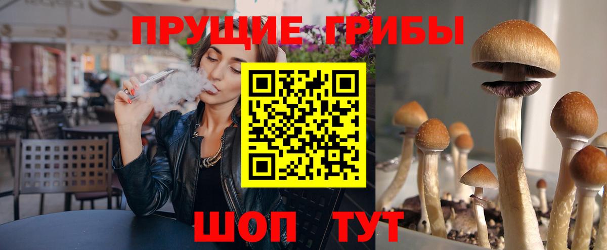 Псилоцибиновые грибы ЛСД  Галлюциногенные грибы Magic Shrooms  Вход с VPN  Елабуга 